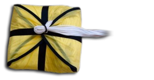 Angel - Parachute de secours Ozone Angel - Parachute de secours Ozone